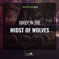Sheep in the midst of wolves
