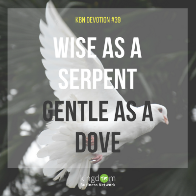 Wise as a Serpent and Gentle as a Dove