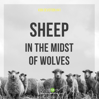 Sheep in the midst of wolves